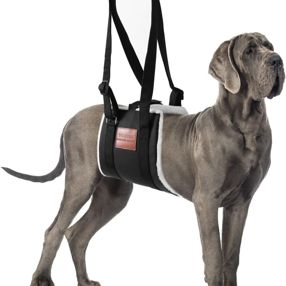 Dog Sling for Back Legs